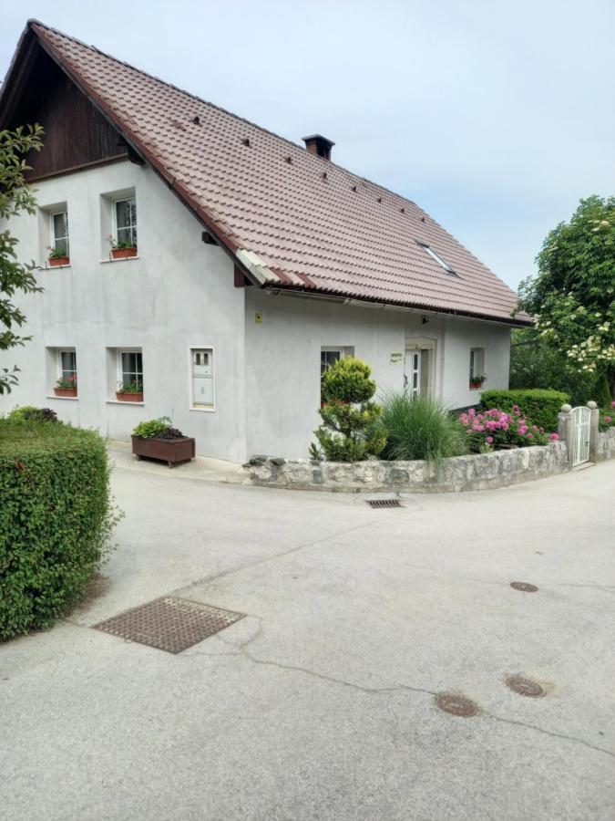 Apartmaji Magda Apartment Zgornje Gorje Bagian luar foto